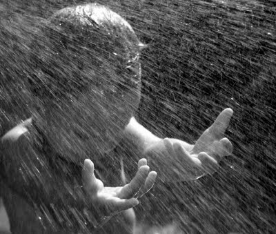 4308953654_48a7aca508_o