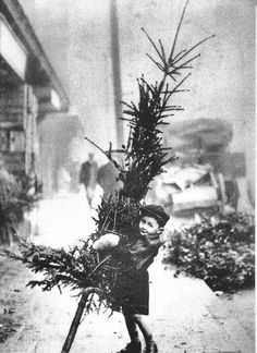 000fa59b893dfd88b226ff6106db94cf