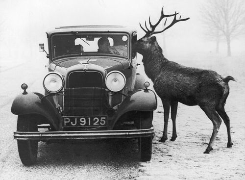 3f7812d30b61f372deab5a6225572f3a