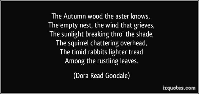 quote-the-autumn-wood-the-aster-knows-the-empty-nest-the-wind-that-grieves-the-sunlight-breaking-dora-read-goodale-232589