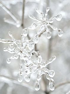 d22334cd3d57c76347b30892a387bdfd