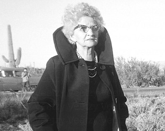 il_340x270-502344616_gz49