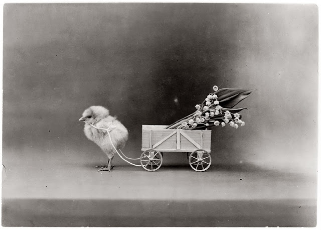 4949d90443cf74aab2f47fc38be7937d