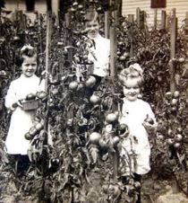 47030d72dd37d8842bbbe63ecc9869b1