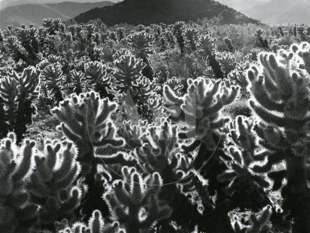 6785D678-502D-4C67-81C9-2FBE726D405A