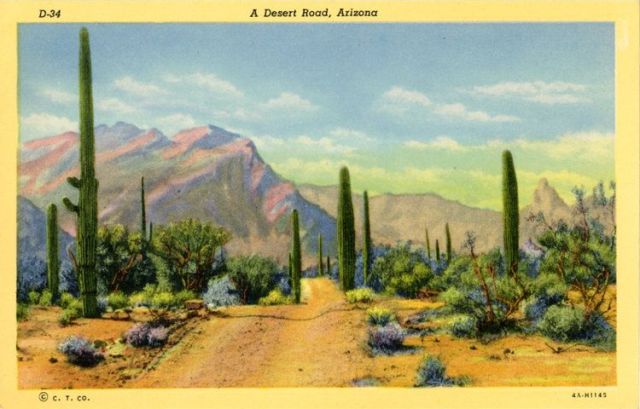 3E98826D-8DFF-47A0-B335-DC115A21C151